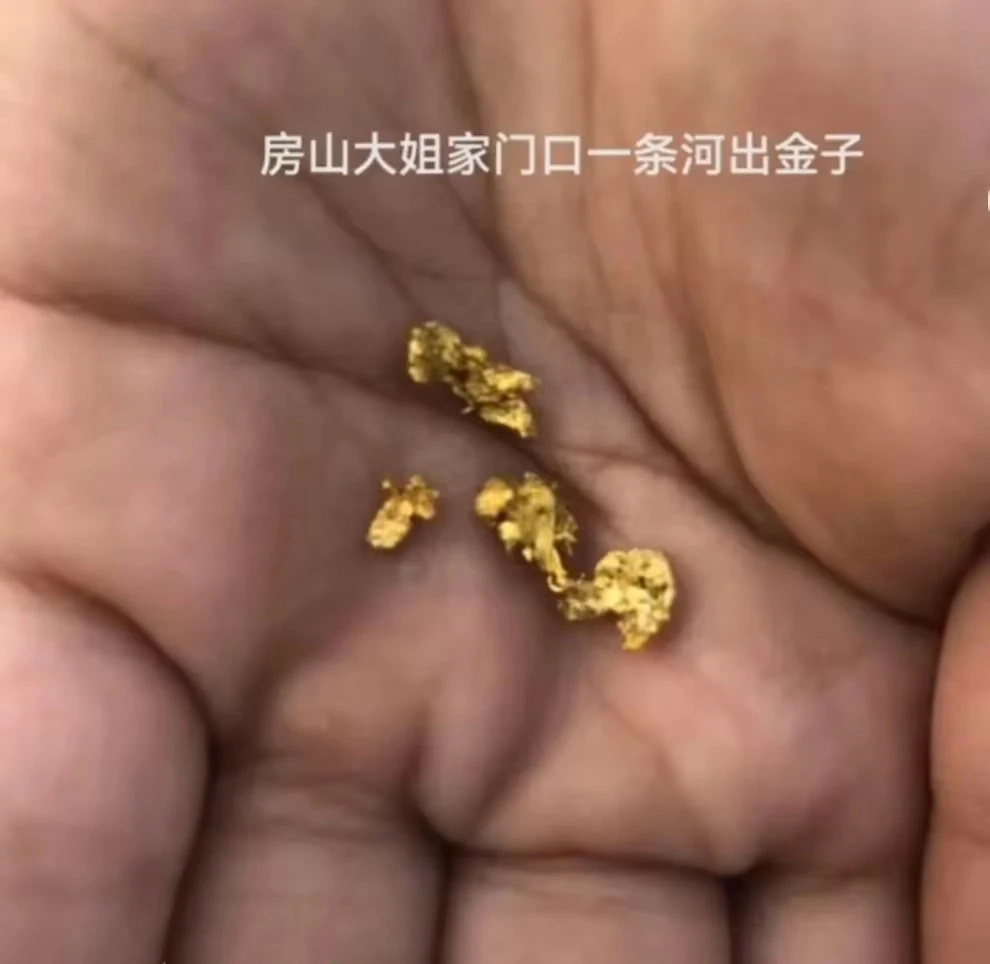 Social Media Hoaxer Ends Up As Fool s Gold SHINE News social-media-hoaxer-ends-up-as-fool-s-gold-shine-news