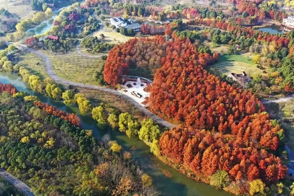 看展、游园、逛古镇……来场有趣的秋游吧