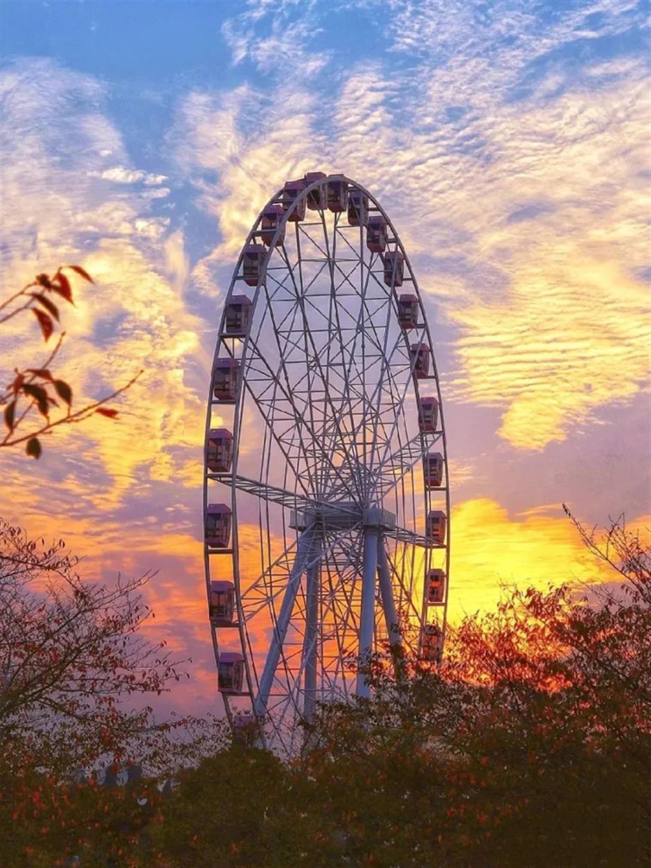 看展、游园、逛古镇……来场有趣的秋游吧