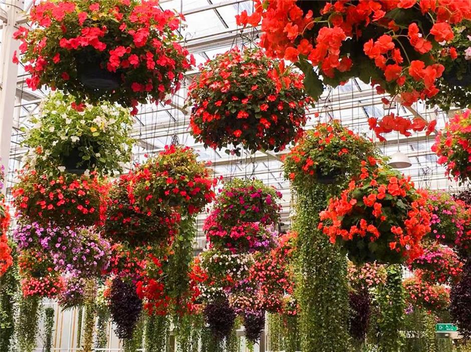 上海旅游节 | 70家景点门票限时半价,优惠名单来了