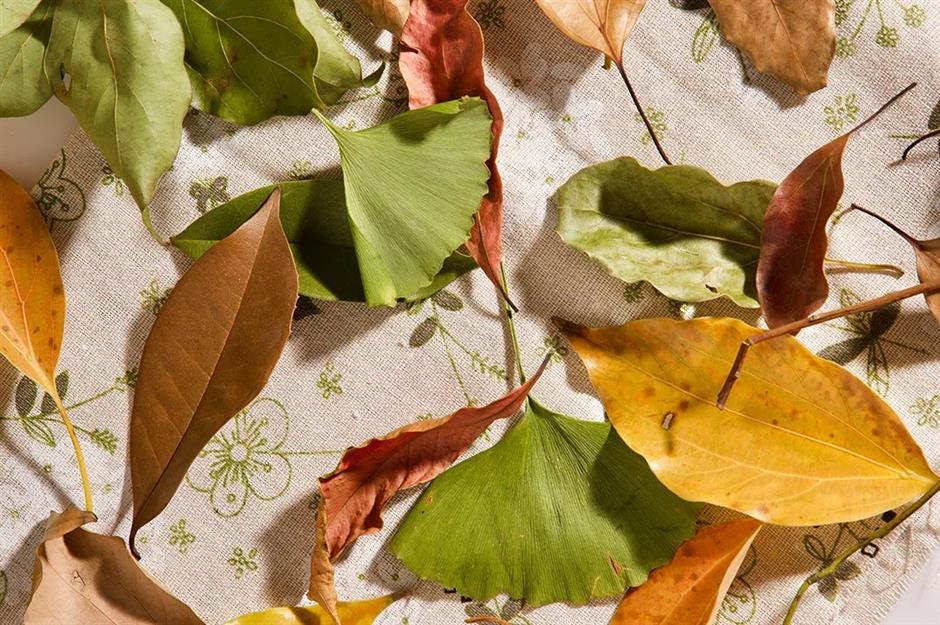 亮点抢先看!沪上最大户外亲子嘉年华要回来了