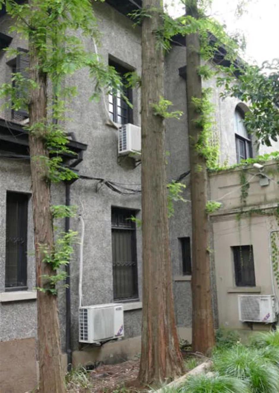 东平路拍了拍你,要来一场秋日建筑之旅吗?|建筑可阅读