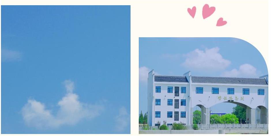 瓜果飄香、螃蟹肥美、晚霞絢爛……去滬郊感受慢生活!