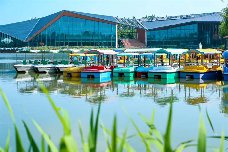 上海旅游节 | 两条环保公益线路,带你领略上海自然生态之美