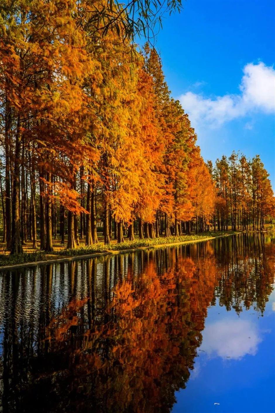 上海旅游节|2023年