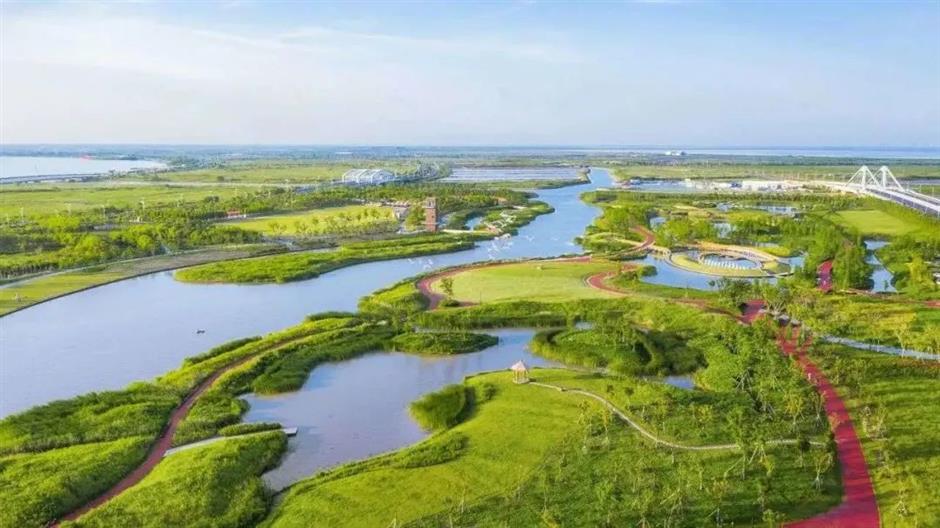 乐游上海·国庆|郊野新城兜一兜,集齐诗意和乡愁