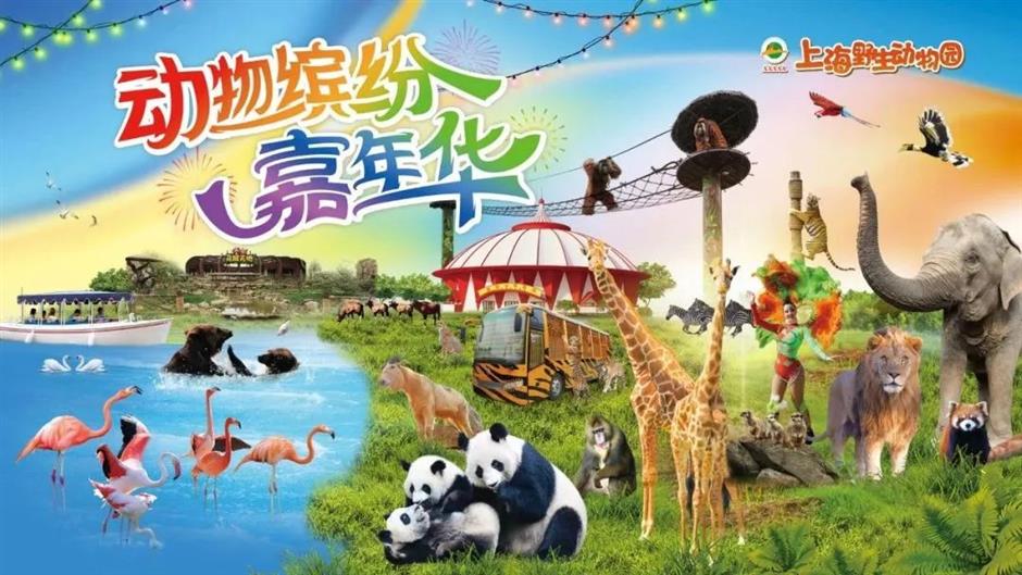 樂遊上海·國慶 | 金秋都市遊嗨玩指南