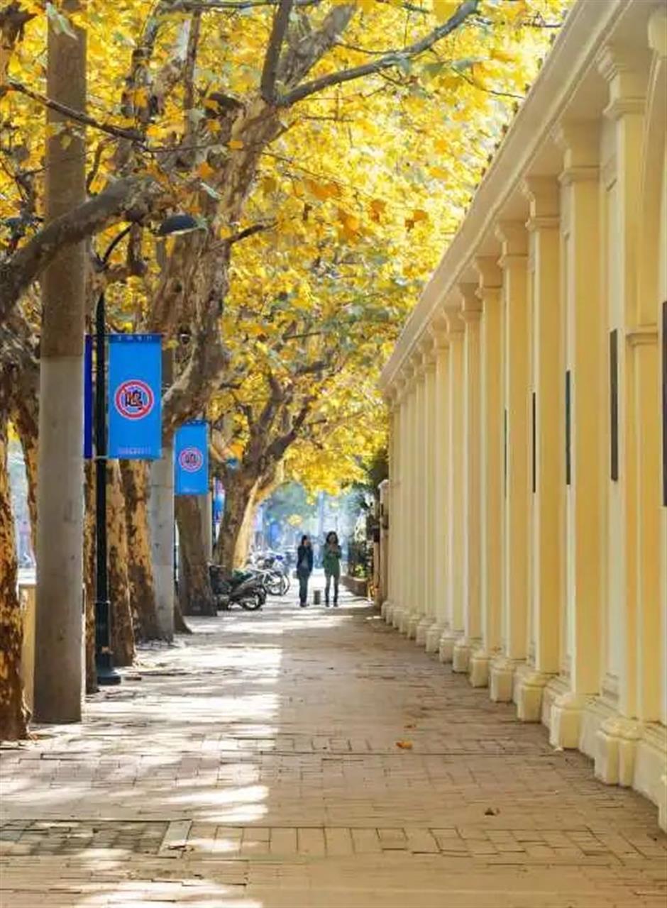 乐游上海·国庆|10条金秋海派城市考古线路,带您