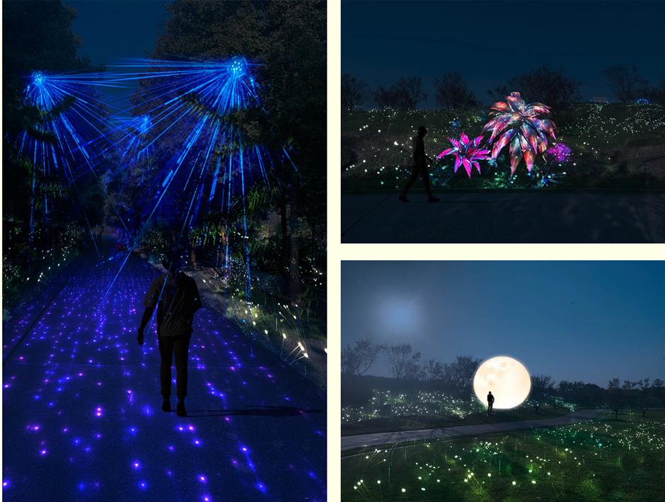 花燈映落照·花海共潮生，朱涇花燈會帶你解鎖秋日浪漫。