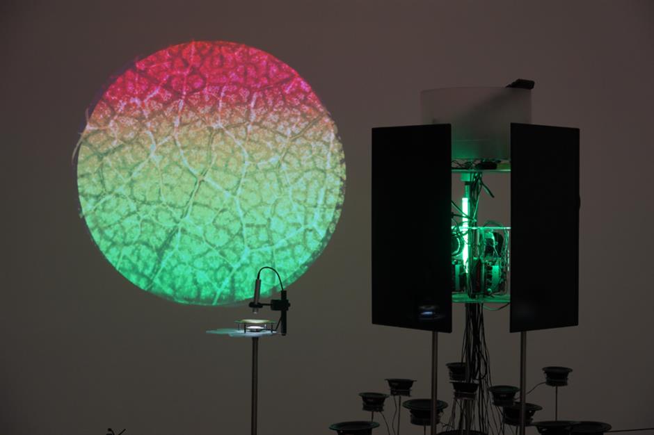 上海城市空间艺术季开幕,5公里徐汇滨江沿线呈现百余种展项