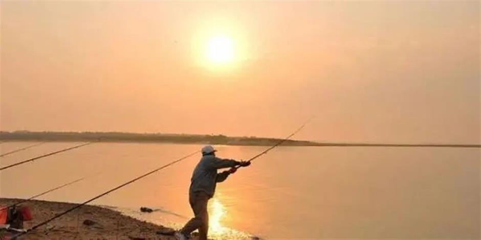 節氣之美 | 寒露驚秋晚，朝看菊漸黃