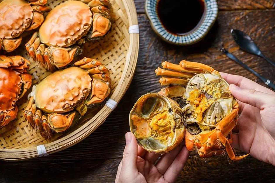 節氣之美 | 寒露驚秋晚，朝看菊漸黃