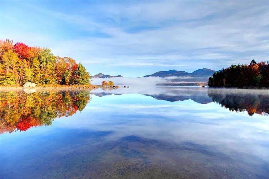節氣之美 | 寒露驚秋晚，朝看菊漸黃