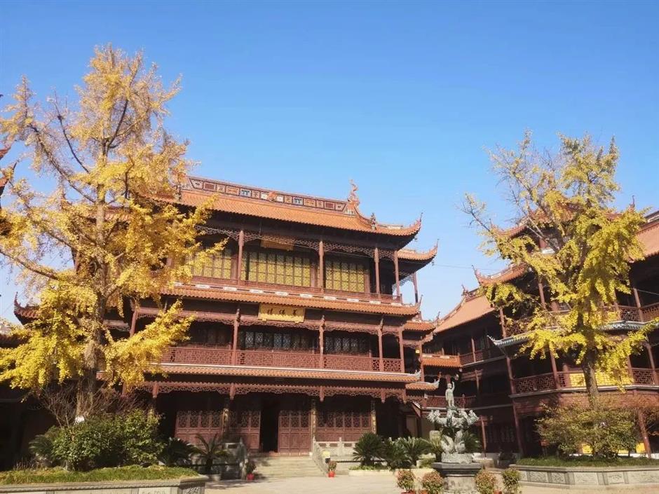 秋色无限好,去沪上南郊拍美美的古风大片吧