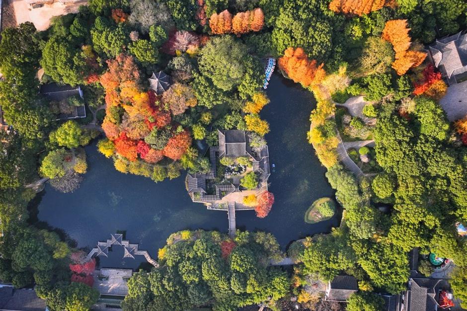 秋色无限好,去沪上南郊拍美美的古风大片吧