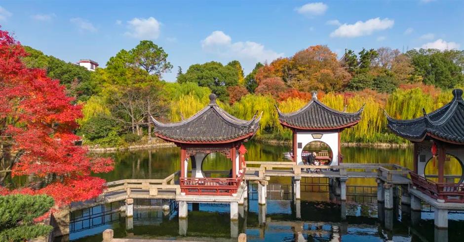 秋色无限好,去沪上南郊拍美美的古风大片吧