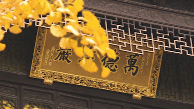 秋色无限好,去沪上南郊拍美美的古风大片吧