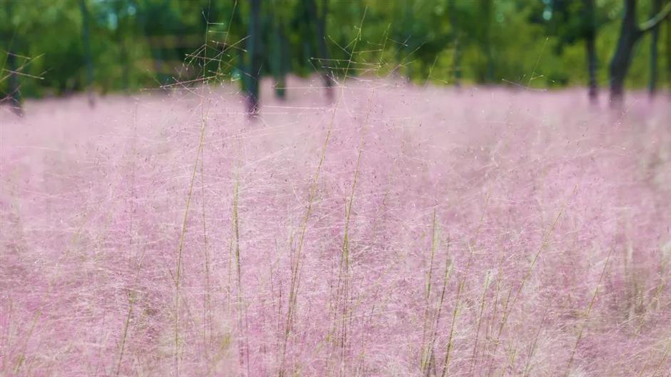美到不用调色!这里