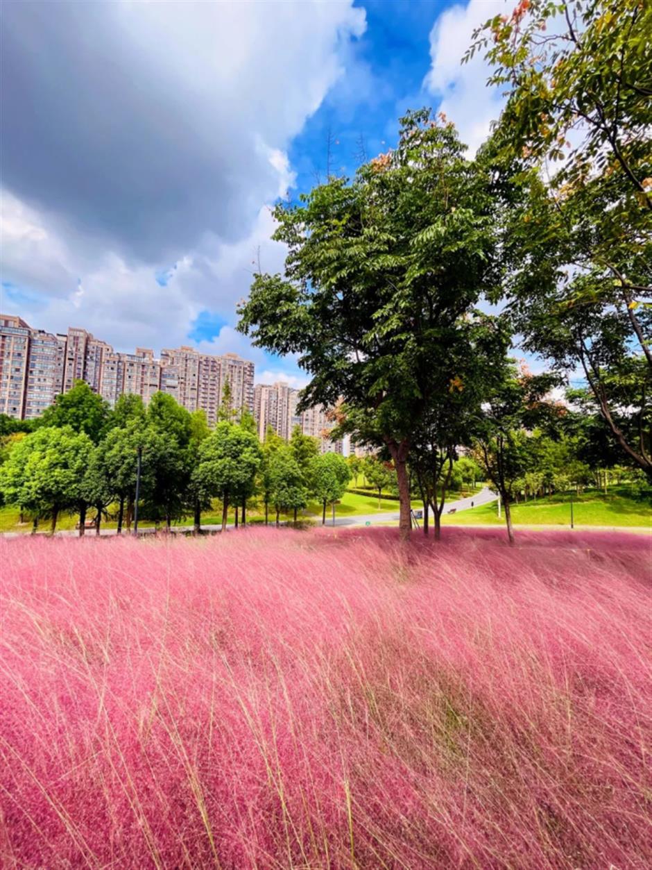 美到不用调色!这里