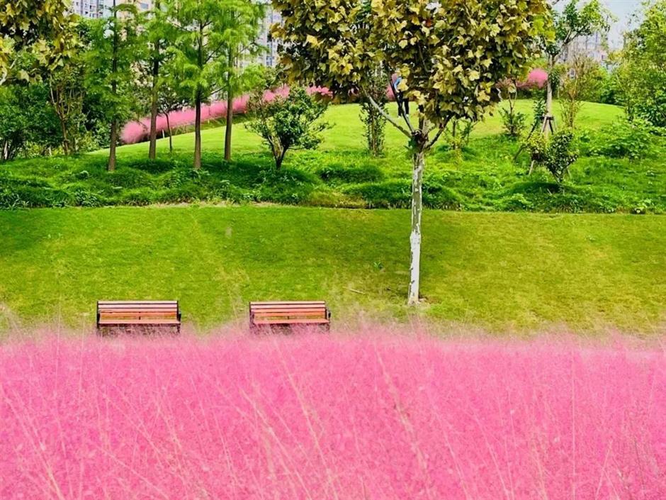 美到不用调色!这里