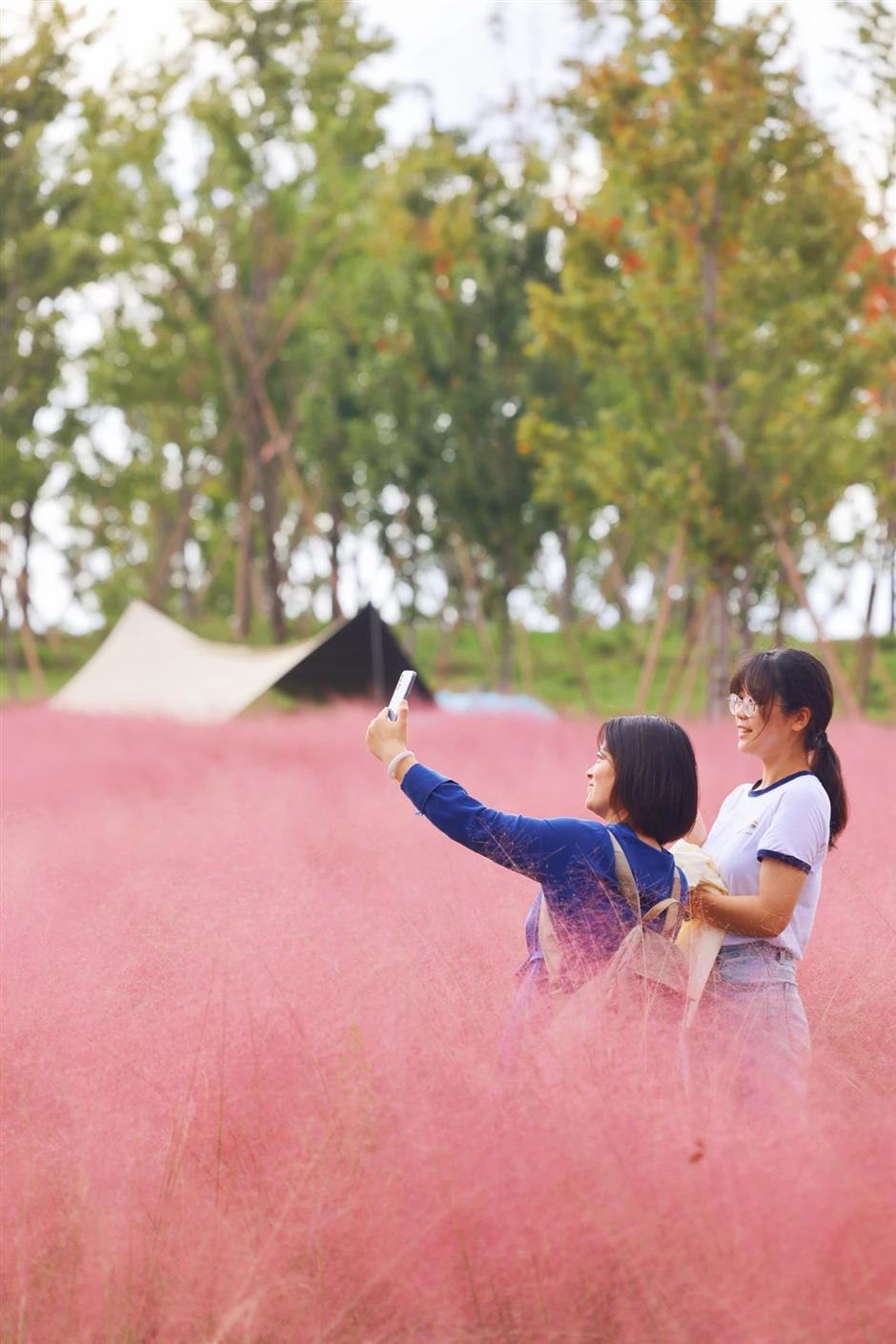 美到不用调色!这里