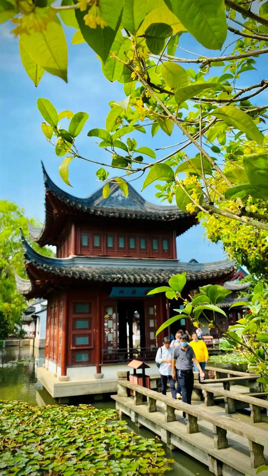 在上海这些古典园林寻秋赏桂,仪式感满满