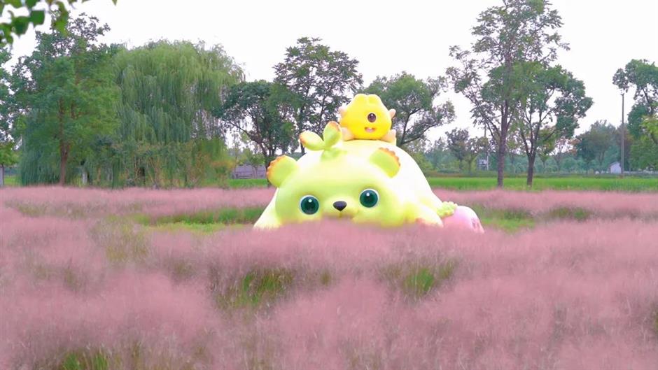 上海粉黛花海已上线!仙气十足,承包你的心动