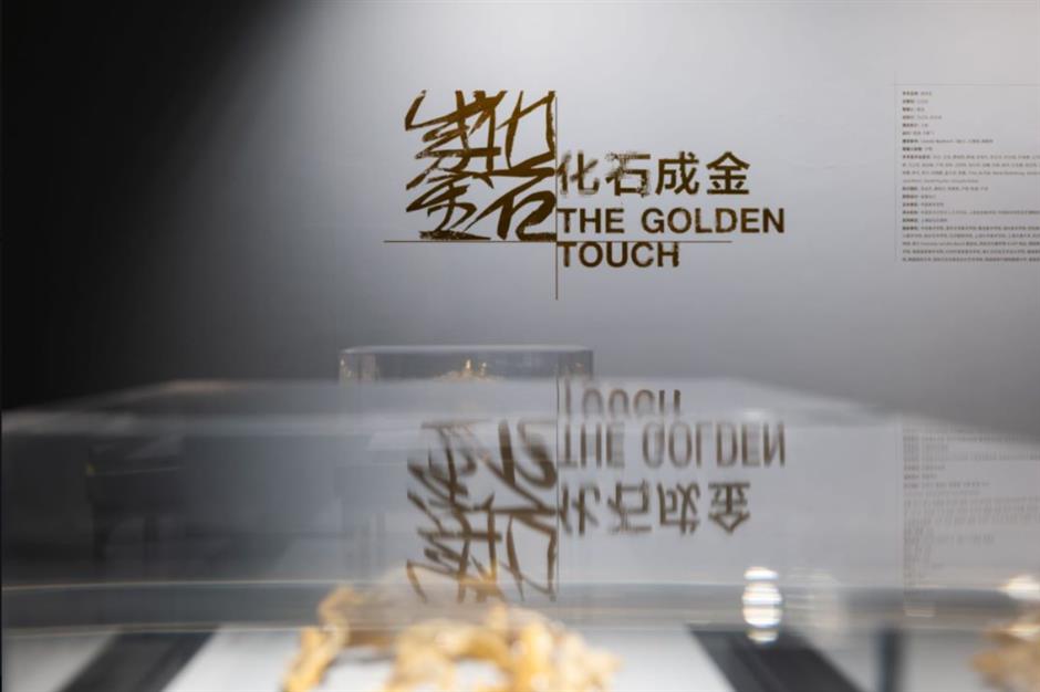 化石成金、大闹天宫!两展连看,开启不一样的探索之旅