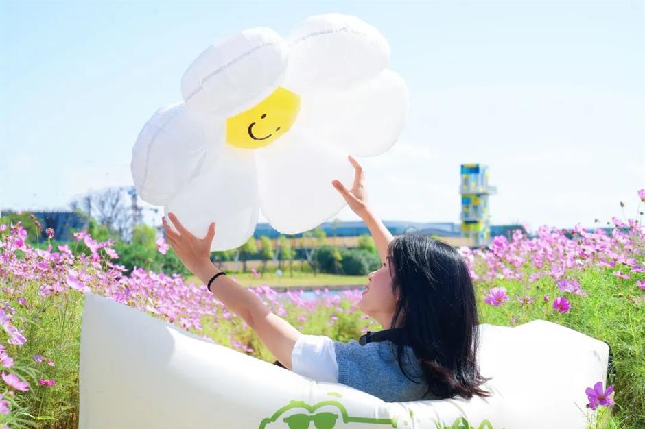 免费开放!超20000㎡花海浪漫绽放