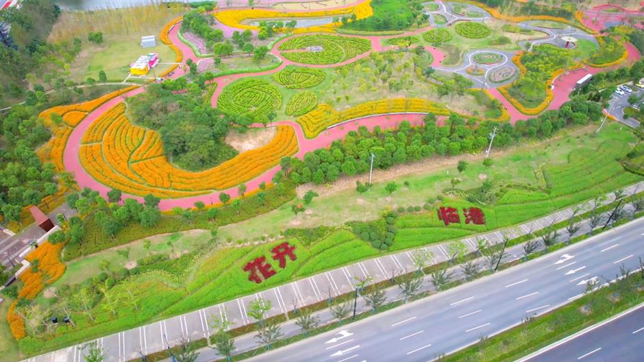 免费开放!超20000㎡花海浪漫绽放