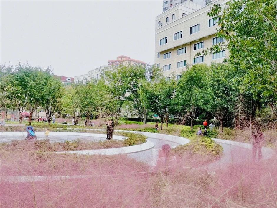 秋天里的宝藏打卡地!让