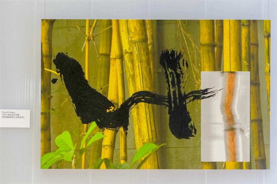 国际艺术节|地球上的星星——融合艺术展亮相上图东馆