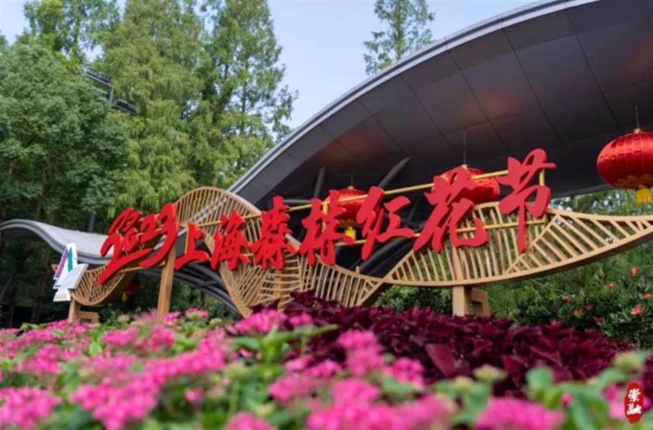 去沪郊打卡色彩繽紛的