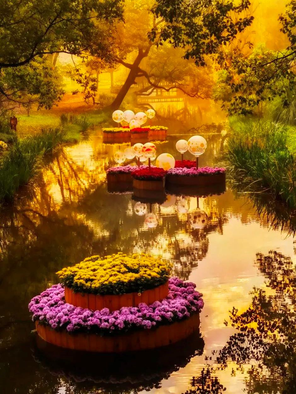 莫奈花园秋色正浓,免费看!