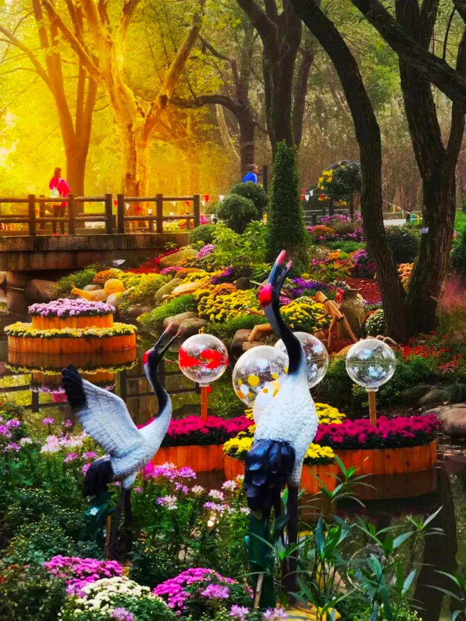 莫奈花园秋色正浓,免费看!