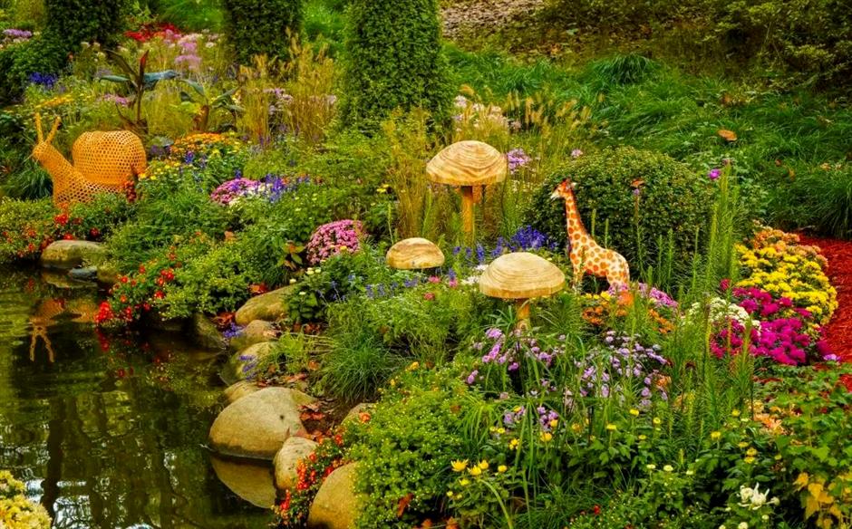 莫奈花园秋色正浓,免费看!