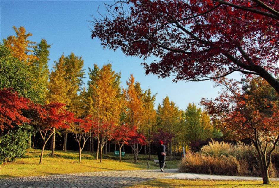 炫动秋色,高颜值打卡地上线