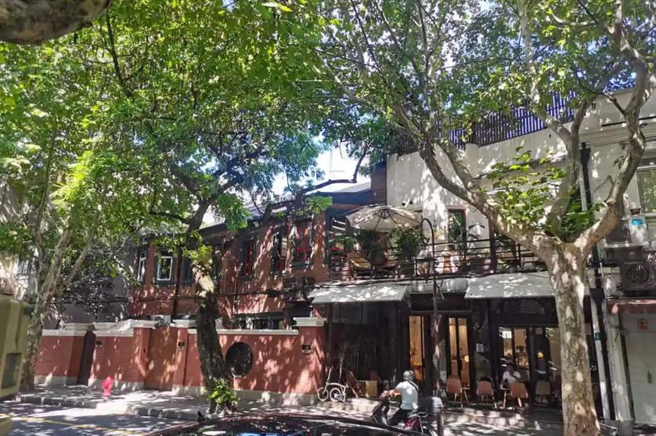 秋遊季,多條線路漫步蘇河沿岸好去處