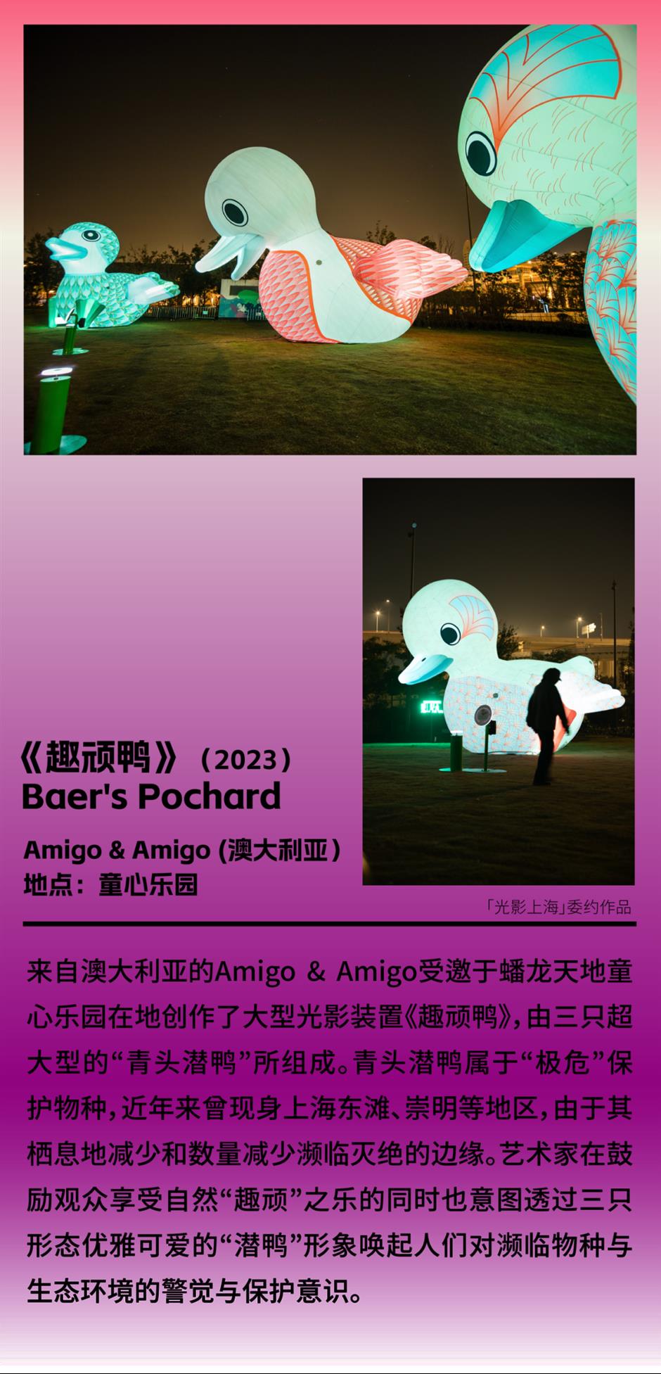 国际艺术节|免费!一起来追光