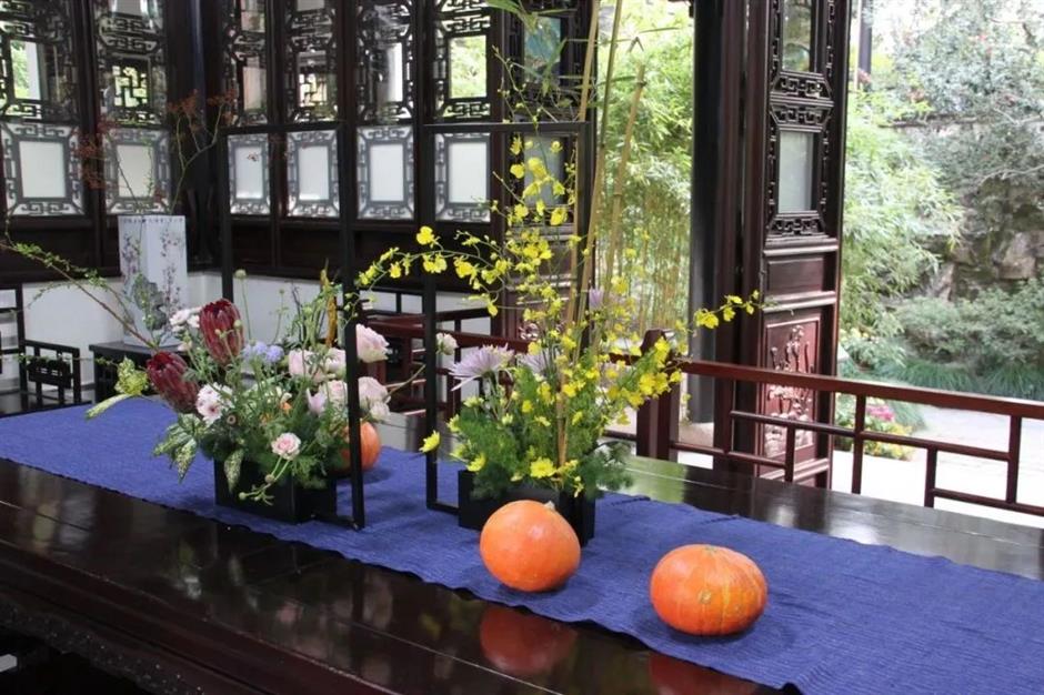 金秋沪上各大公园菊花展开幕,邀您共赏秋花烂漫