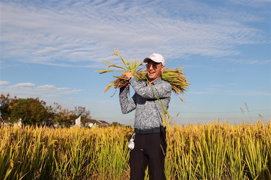 詩意江南稻花飄香,外籍友人在上海這個村玩「嗨」了