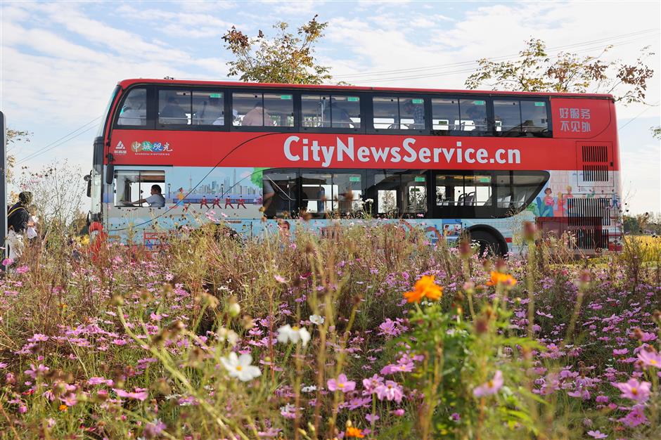 詩意江南稻花飄香,外籍友人在上海這個村玩「嗨」了