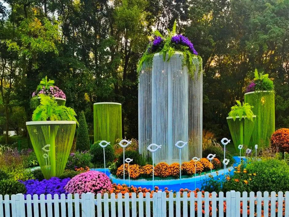 金秋沪上各大公园菊花展开幕,邀您共赏秋花烂漫