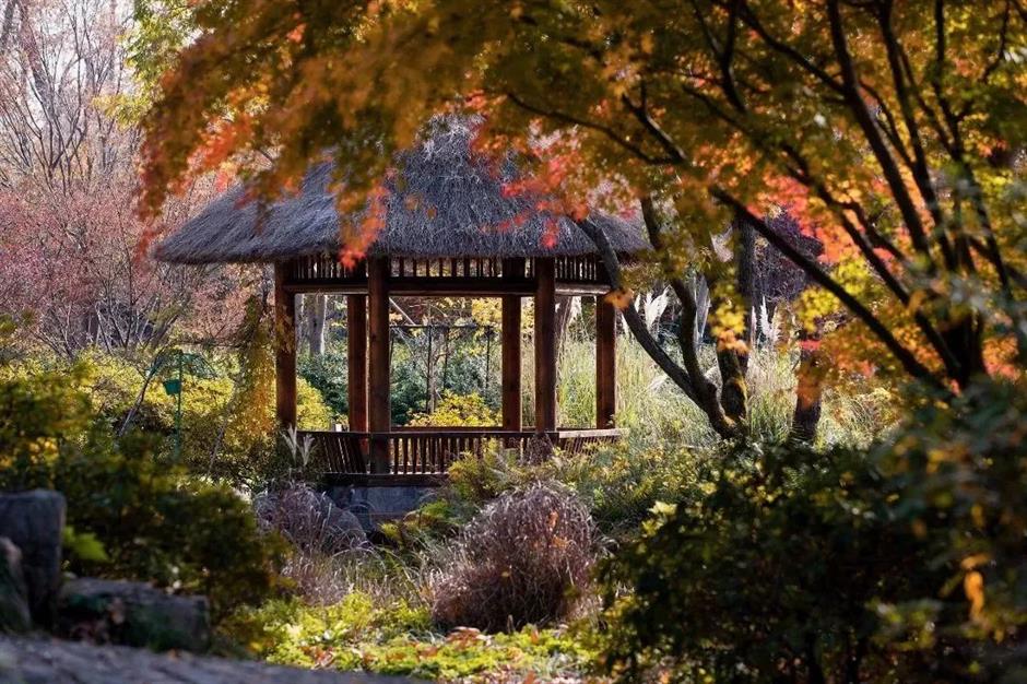 秋意渐浓,开始期待滨江的秋日美拉德