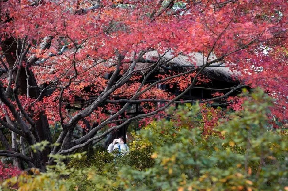 秋意渐浓,开始期待滨江的秋日美拉德