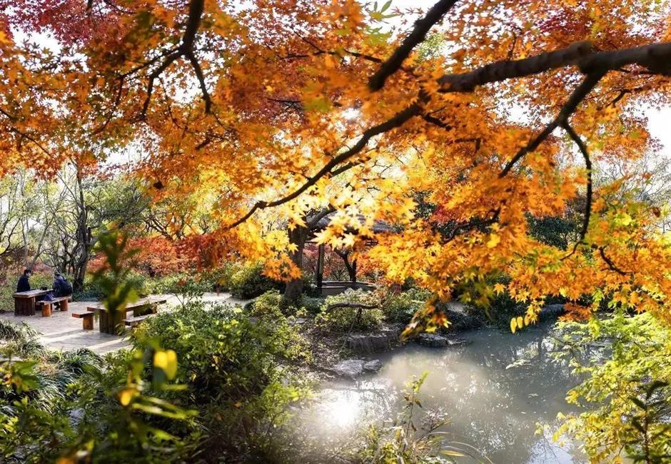 秋意渐浓,开始期待滨江的秋日美拉德