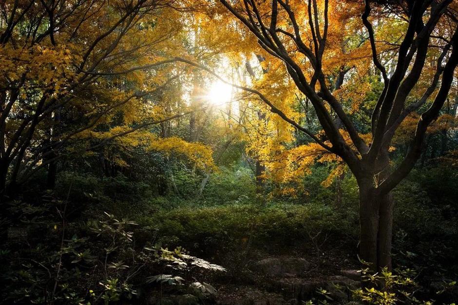 秋意渐浓,开始期待滨江的秋日美拉德