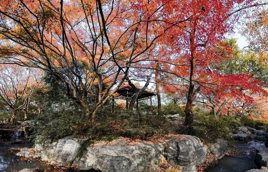 秋意渐浓,开始期待滨江的秋日美拉德