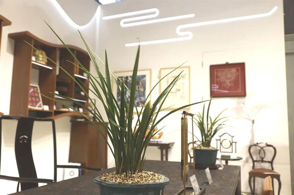 进博会|走进非遗,品味生活,带来全新体验!