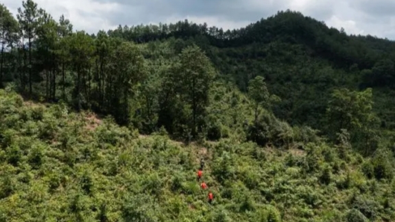 China to pilot carbon-peaking in 100 cities, zones - China Nation News